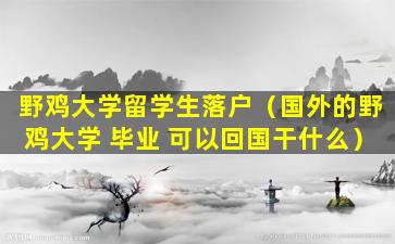 野鸡大学留学生落户（国外的野鸡大学 毕业 可以回国干什么）